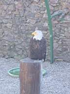 DSC00696.JPG