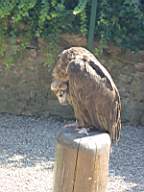 DSC00708.JPG