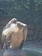 DSC00710.JPG