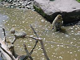 DSC00750.JPG