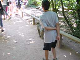 DSC00759.JPG